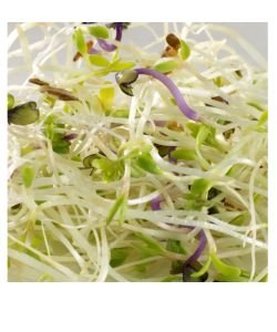 Seeds germinate - Alfa / Cresson / Red Cabbage BIO, 150 g